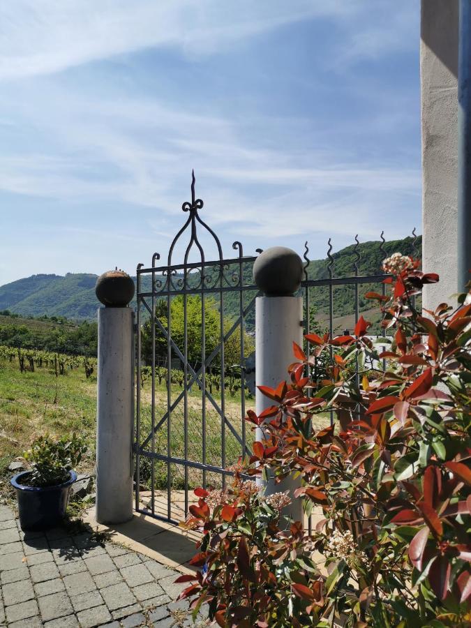 Weingut Amlinger&Sohn Apartamento Neef Exterior foto